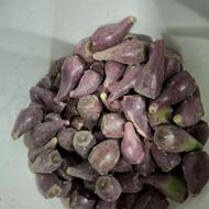 میوه کاکتوس