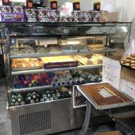 یخچال ویترینی موتور دانفوس