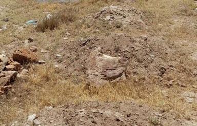 1583 متر زمین کشاورزی دوبر