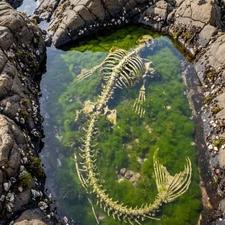 فال تاروت وانرژی درمانی