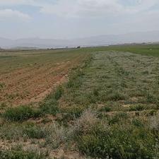 زمین کشاورزی 6500متر