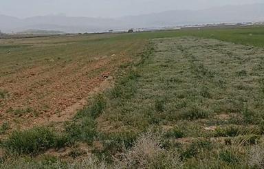 زمین کشاورزی 6500متر