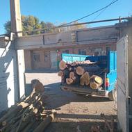 خریدار درخت و چوب