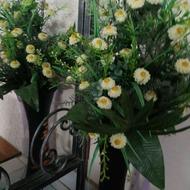 وکالت مشاوره توسط قاضی باتجربه سابق