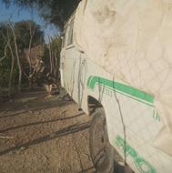 مینی بوس مدل 66 سوخت فعال پلان