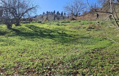 فروش زمین جهت ویلاسازی