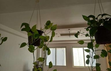 مسکن مهر ساری تجهیز قیمت منصفانه بهمراه تخفیف ویژه