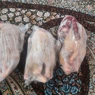 اردک 140 روزه وزن اردک نر 2 کیلو 300 گرم ب بالا