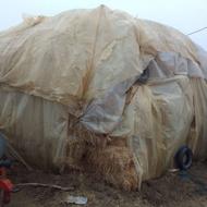 سلام بهترین ینحه