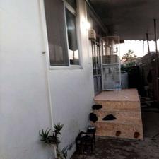 فروش ویلا 220 متر در پیل علی باغ