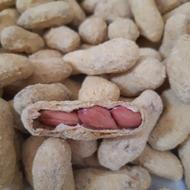 بادام زمینی