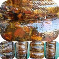 فروش ضایعات خرما