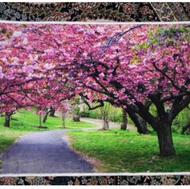 تابلوفرش ماشینی درخت شکوفه 50×70کاملا نو