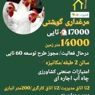 مرغداری گوشتی/مرغداری مکانیزه