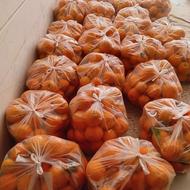 حراج پرتغال تامسون عالی درجه 1