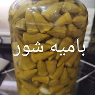 تولید مواد غذایی ارگانیک خانگی