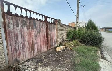 زمین مسکونی