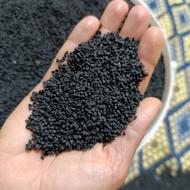 بذر پیاز محلی امساله