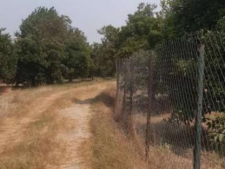 باغ 300 متری دوبر دنج