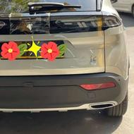 ری را تیتانیوم خشک خشک