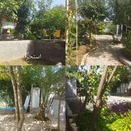 بنای همه کاره