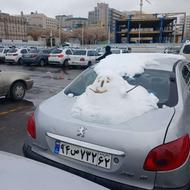 پژو 206 مدل 88 v20