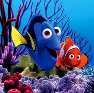 سالن فروش انواع ماهی زینتی و آکواریوم