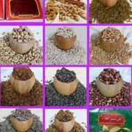 آجیل اعلا درجه 1