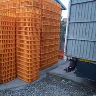 جعبه حمل مرغ زنده