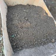 خاک مناسب گل کاری