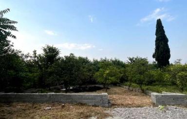 271 زمین قلعه گردن آغوزکله