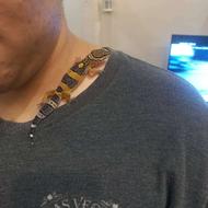 گکو احلی (مورف خاص)