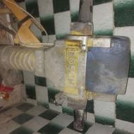 هیلتی بوش پیکور