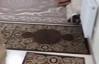 فروش یک واحد اپارتمان