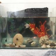 اکواریم با تمامی لوازم و ماهی