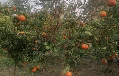 فروش زمین با سند مسکونی جاده نظامی