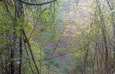 20000مترمربع باغ نزدیک پل زمان خان سامان