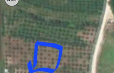 زمین در لالیم فروشی ایست