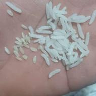 برنج کامفیروز چمپه اصل از تولید به مصرف