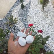 سنگ قلوه سفید و مشکی رودخانه ای تزئینی