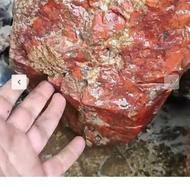 چهار تن جاسپر سرخ و پلنگی و سبز