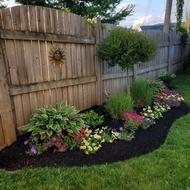 ایجاد فضای سبز و هرس و تمیز کردن فضای سبز