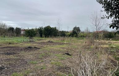 600 متر زمین مناسب سرمایه گذاری