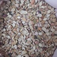 لوبیاچیتی شکسته باپخت عالی