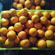 نارنج تازه وآبدار