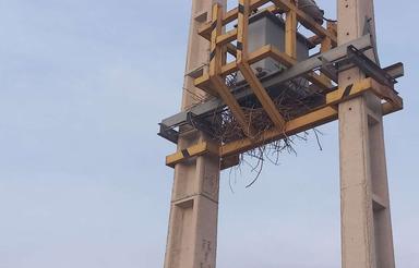 3000متر باغ ویلا دارای انشعابات برق 3فازوگازوآب