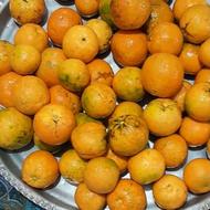 انواع ترشیجات خانگی