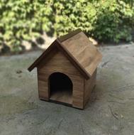 لونه سگ مناسب پاکوتاه