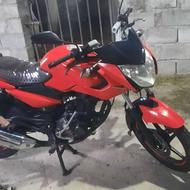 پالس135برگ او را ق نمایش گاهی