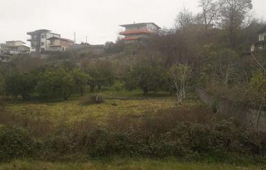 490 متری فرامرزکلا سوادکوه شمالی